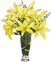 RISE & SHINE LILIES Arrangement
