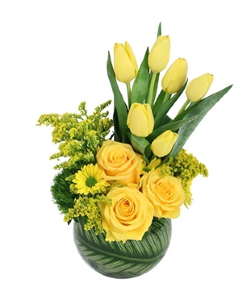 Yellow Optimism Flower Arrangement in Batesville, AR | Signature Baskets Flowers & Gifts