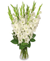 TRANQUIL LIGHT   White Gladiolus Vase