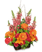 BRILLIANT BASKET Arrangement Best Seller
