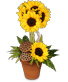 POT O' SUNFLOWERS Topiary Arrangement