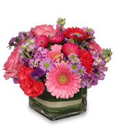 SWEETNESS OF LIFE Arrangement