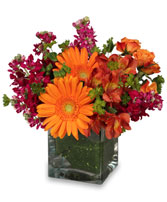 FLORAL EXUBERANCE Arrangement