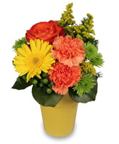 JACKPOT POSIES Arrangement
