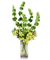 VERY VERDE Bouquet