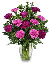 PUMP UP THE PURPLE Carnation Bouquet