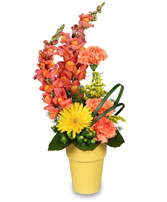 IT'S A SNAP! Bouquet