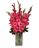 FILLED WITH GLADNESS Gladiolus Bouquet