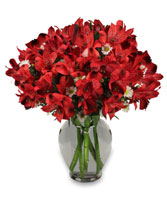 PASSIONATE PERUVIAN LILIES Bouquet