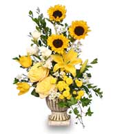 SUNLIGHT SPLENDOR Flower Arrangement