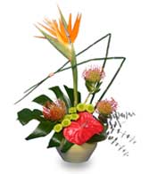 TROPICAL SHOW STOPPER Floral Arrangement