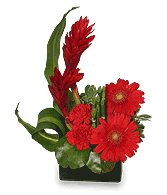 RADIANT IN RED Floral Arrangement
