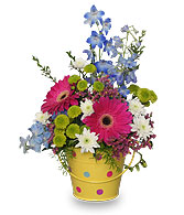 WHIMSICAL FLOWERS Arrangement