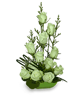JADE GREEN ROSES Arrangement