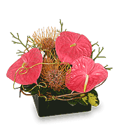 BEAUTY INTERTWINED Floral Arrangement