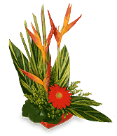 TROPICAL HEAT Arrangement