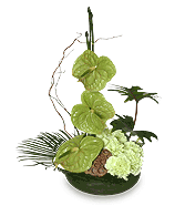 SEA OF GREEN Floral Arrangement