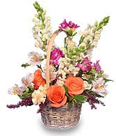FRESH BREEZE Flower Basket