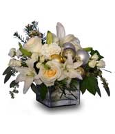 WINTER CELEBRATION of Fresh Flowers
