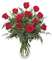 CLASSIC DOZEN ROSES Red Rose Arrangement