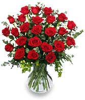 24 Radiant Roses Red Roses Arrangement