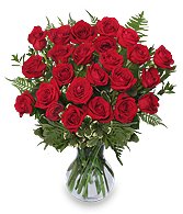 24 RADIANT ROSES Red Roses Arrangement