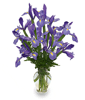FLEUR-DE-LIS Iris Vase