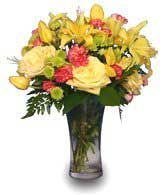 AUTUMN DAYBREAK Flower Bouquet