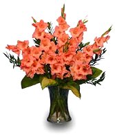 GLORIOUS GLADIOLUS  Flower Vase
