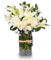 FRESH SNOWFALL Vase of Flowers