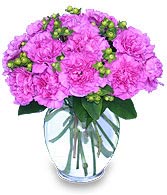 FANCY-FREE FUCHSIA Flowers for Any Occasion