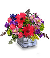 RAZZLE DAZZLE Bouquet of Flowers