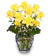 HERE COMES THE SUN Bouquet of Daffodils