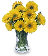 HELLO SUNSHINE! Vase of Flowers