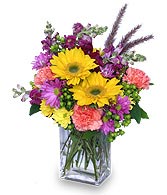 FESTIVAL OF COLORS Flower Bouquet