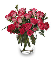 RING AROUND THE ROSES Vase of Spray Roses