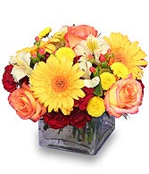 AUTUMN AFFECTION Floral Bouquet