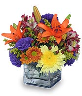 SIMPLE PLEASURES Floral Arrangement