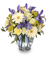 WELCOME BABY BOY Flower Arrangement