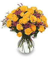 ROSES REJOICE! Golden Yellow Spray Roses