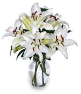 CASA BLANCA LILIES Arrangement