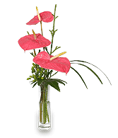 BEYOND A BUD VASE Arrangement