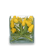 TWIRLING TULIPS Arrangement