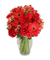 CHARISMATIC CRIMSON Floral Arrangement in Batesville, AR | SIGNATURE BASKETS FLOWERS & GIFTS