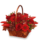 ROJO CALIENTE Canasta Floral