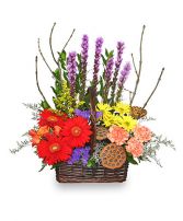 OUT OF THE WOODS Flower Basket Best Seller