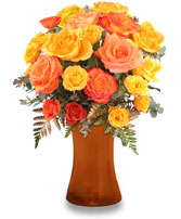 ROBUST ROSES Arrangement