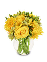 SUNSHINE PERFECTION Floral Arrangement